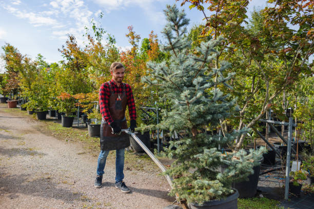 Best Weed Control  in Berry Creek, CA